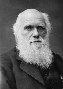 051111_darwin_portrait_02